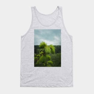 Young fir sprouts Tank Top